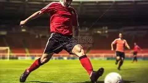 张雪迎姐姐对粉丝言论回应引发热议